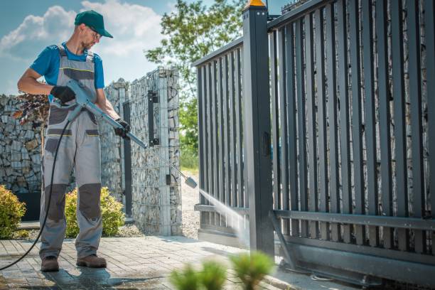 Best Roof Washing  in Chieand, FL