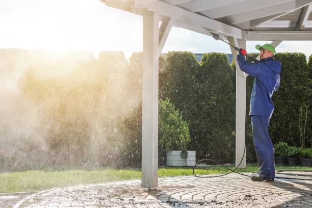Best Animal Enclosure Cleaning  in Chieand, FL